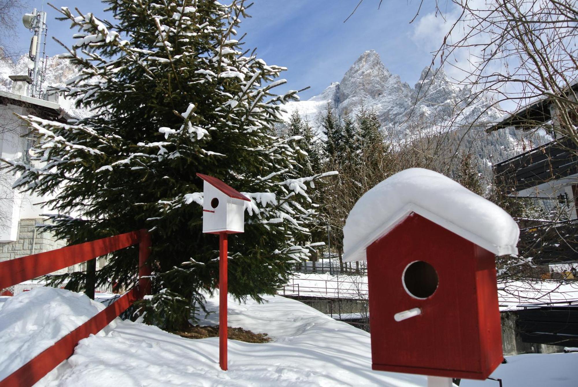 Hotel Regina San Martino Di Castrozza Esterno foto