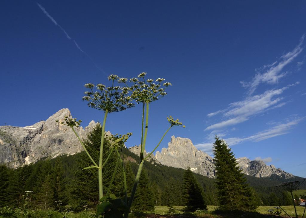 Hotel Regina San Martino Di Castrozza Esterno foto